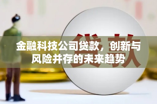 河池金融科技公司贷款，创新与风险并存的未来趋势