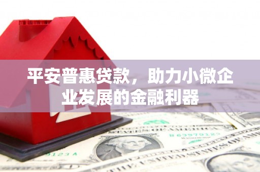 河池平安普惠贷款，助力小微企业发展的金融利器