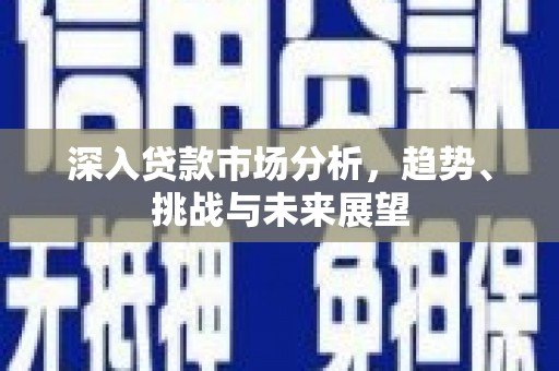 河池深入贷款市场分析，趋势、挑战与未来展望