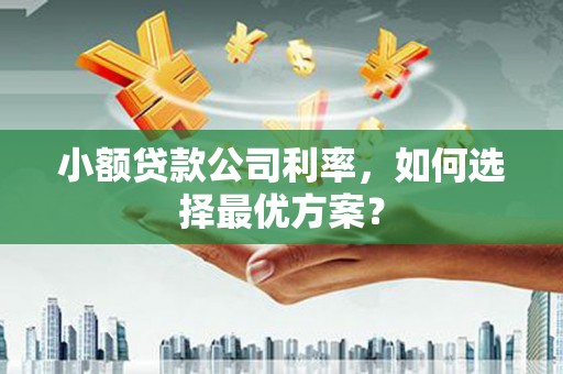 河池小额贷款公司利率，如何选择最优方案？