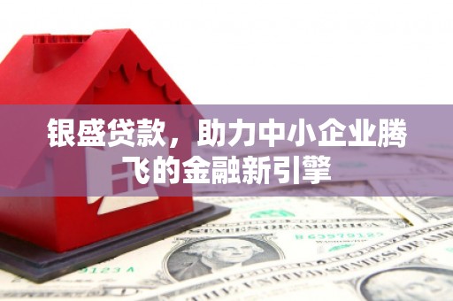 河池银盛贷款，助力中小企业腾飞的金融新引擎