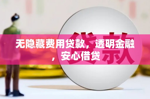 河池无隐藏费用贷款，透明金融，安心借贷