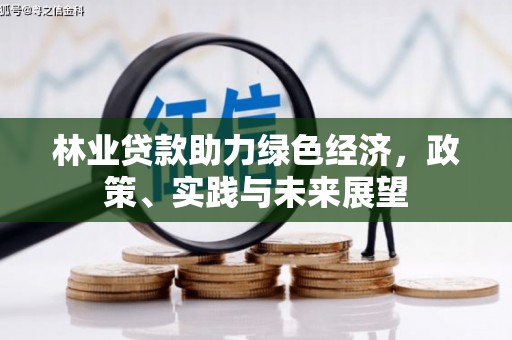 河池林业贷款助力绿色经济，政策、实践与未来展望