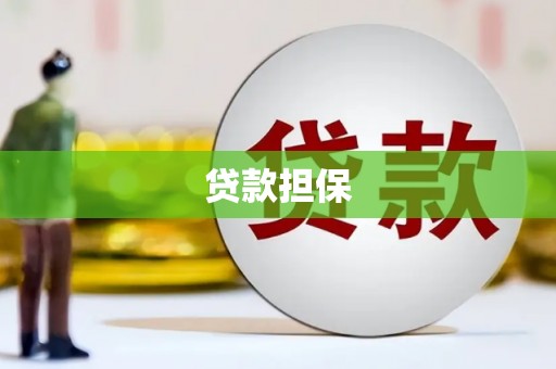 河池贷款担保