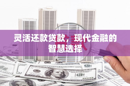 河池灵活还款贷款，现代金融的智慧选择