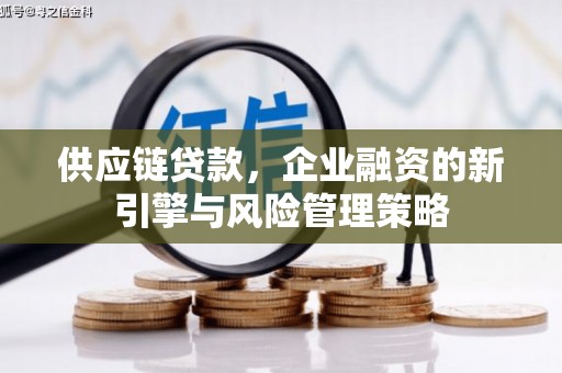 河池供应链贷款，企业融资的新引擎与风险管理策略