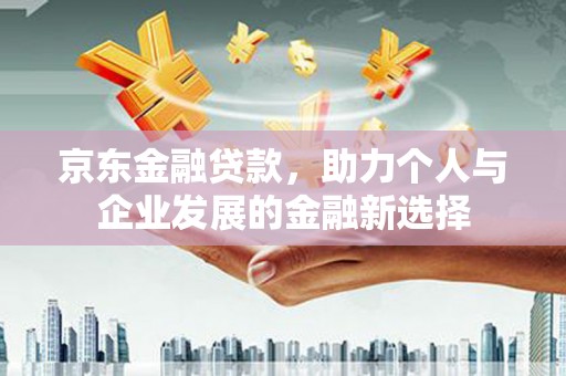 河池京东金融贷款，助力个人与企业发展的金融新选择