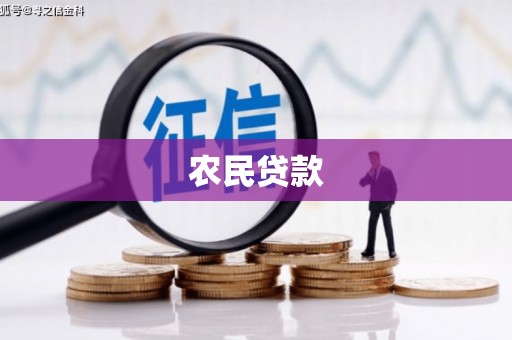 河池农民贷款