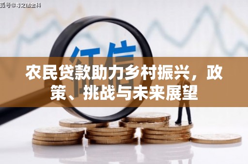 河池农民贷款助力乡村振兴，政策、挑战与未来展望