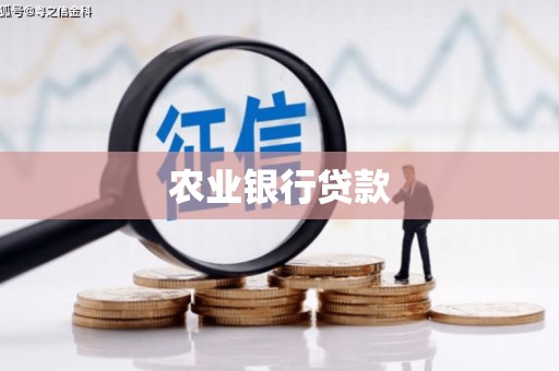 河池农业银行贷款