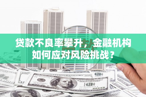河池贷款不良率攀升，金融机构如何应对风险挑战？