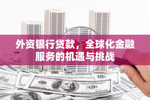 河池外资银行贷款，全球化金融服务的机遇与挑战