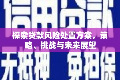 河池探索贷款风险处置方案，策略、挑战与未来展望