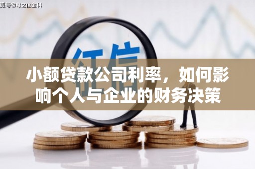 河池小额贷款公司利率，如何影响个人与企业的财务决策