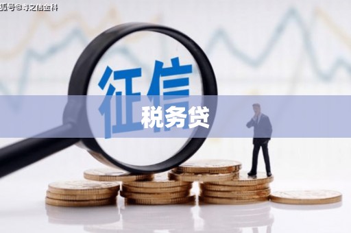 河池税务贷