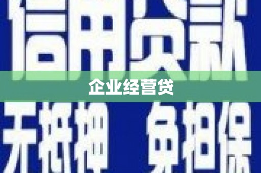 河池企业经营贷