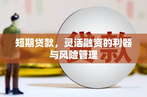 河池短期贷款，灵活融资的利器与风险管理