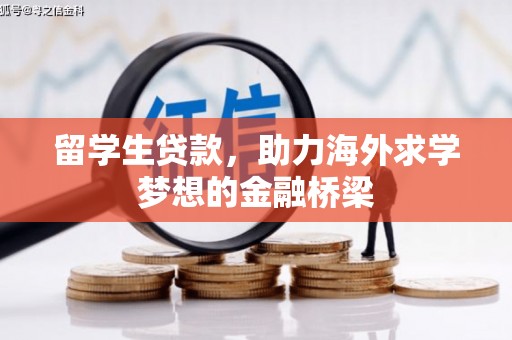 河池留学生贷款，助力海外求学梦想的金融桥梁