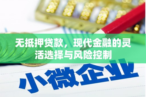 河池无抵押贷款，现代金融的灵活选择与风险控制