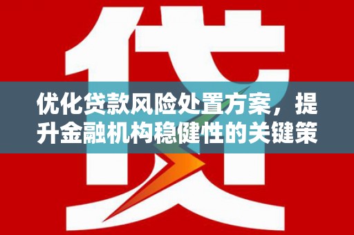 河池优化贷款风险处置方案，提升金融机构稳健性的关键策略
