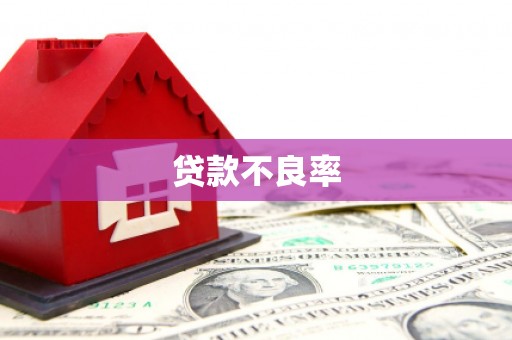 河池贷款不良率