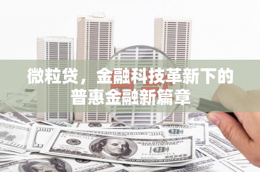 河池微粒贷，金融科技革新下的普惠金融新篇章