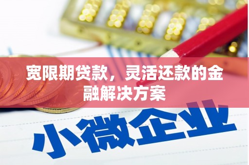 河池宽限期贷款，灵活还款的金融解决方案
