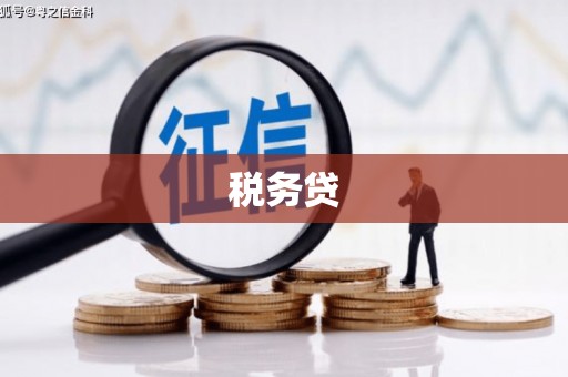 河池税务贷