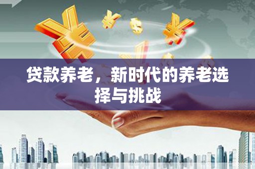 河池贷款养老，新时代的养老选择与挑战