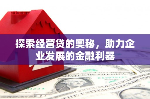 河池探索经营贷的奥秘，助力企业发展的金融利器