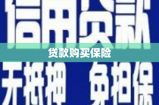 河池贷款购买保险