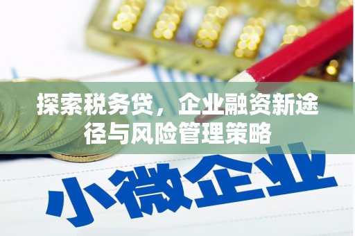 河池探索税务贷，企业融资新途径与风险管理策略