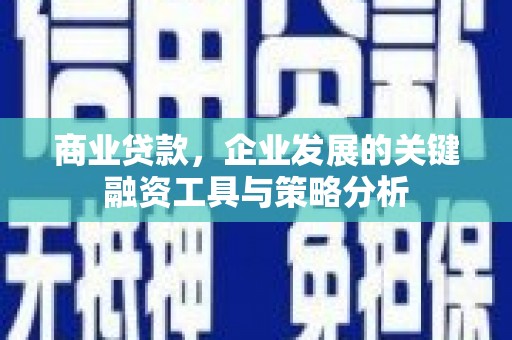 河池商业贷款，企业发展的关键融资工具与策略分析