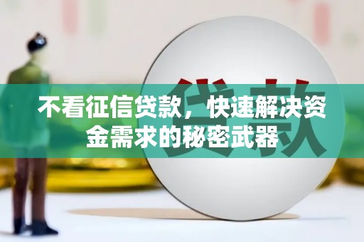 河池不看征信贷款，快速解决资金需求的秘密武器