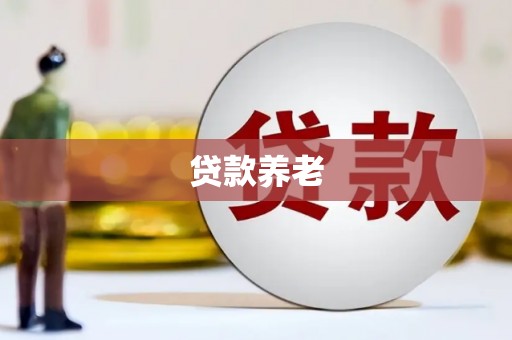 河池贷款养老