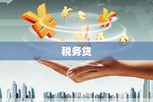 河池税务贷