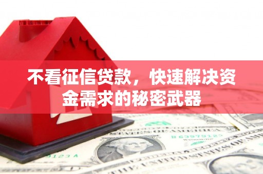 河池不看征信贷款，快速解决资金需求的秘密武器
