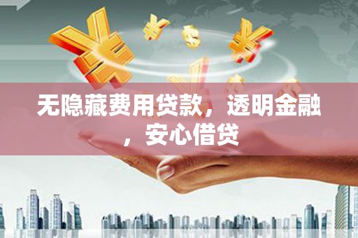 河池无隐藏费用贷款，透明金融，安心借贷
