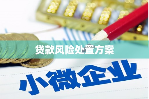 河池贷款风险处置方案