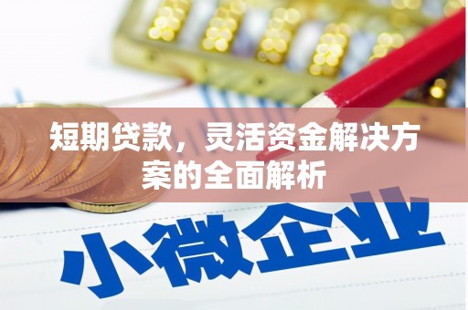 河池短期贷款，灵活资金解决方案的全面解析