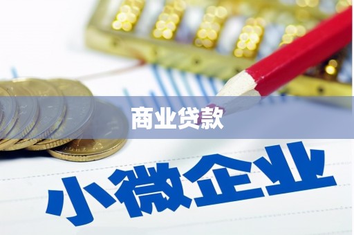 河池商业贷款