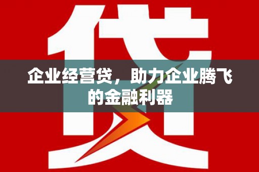 河池企业经营贷，助力企业腾飞的金融利器