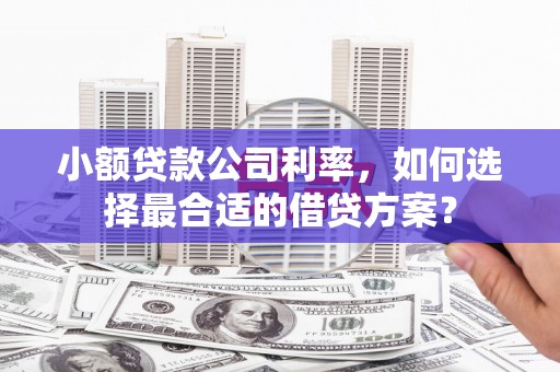 河池小额贷款公司利率，如何选择最合适的借贷方案？