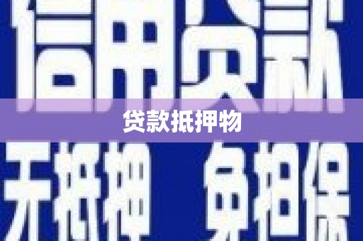 河池贷款抵押物