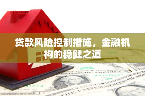 河池贷款风险控制措施，金融机构的稳健之道