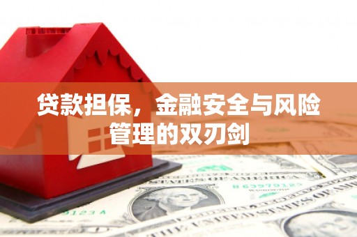 河池贷款担保，金融安全与风险管理的双刃剑