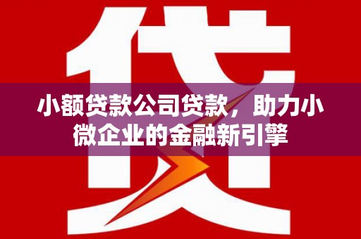河池小额贷款公司贷款，助力小微企业的金融新引擎