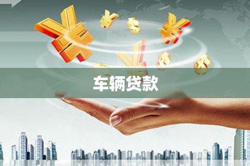 河池车辆贷款