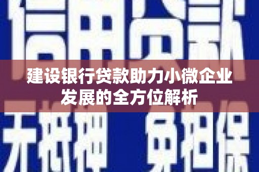 河池建设银行贷款助力小微企业发展的全方位解析