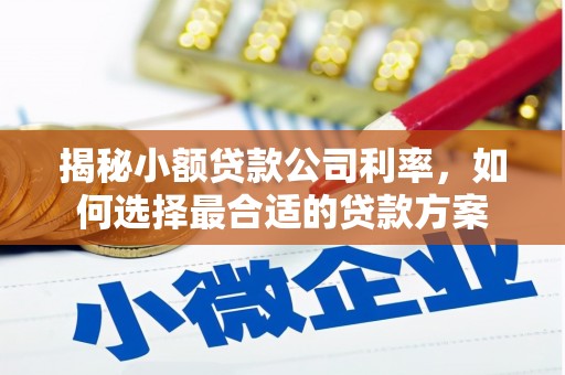 河池揭秘小额贷款公司利率，如何选择最合适的贷款方案